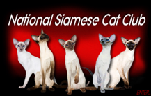 NationalSiameseCatClub