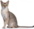 Singapura