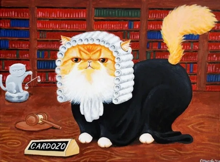 CatJudgePic