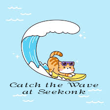 cat on surfboardseekonk