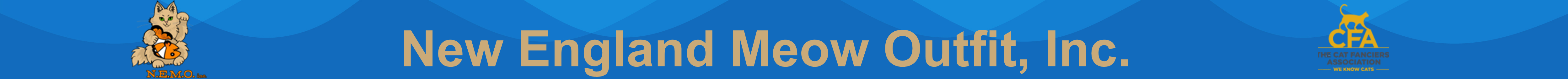 nemo home wave